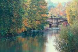 Stamford environment