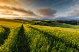 Lincoln Removals to Lincolnshire Wolds